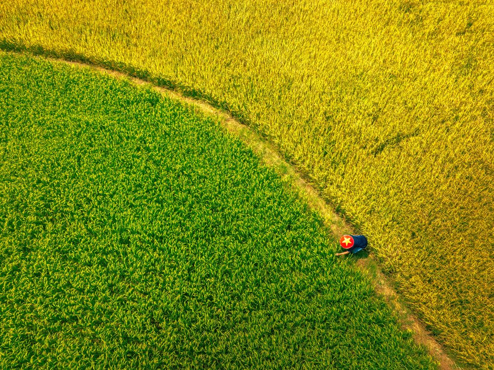 Photograph by Tran Phuong