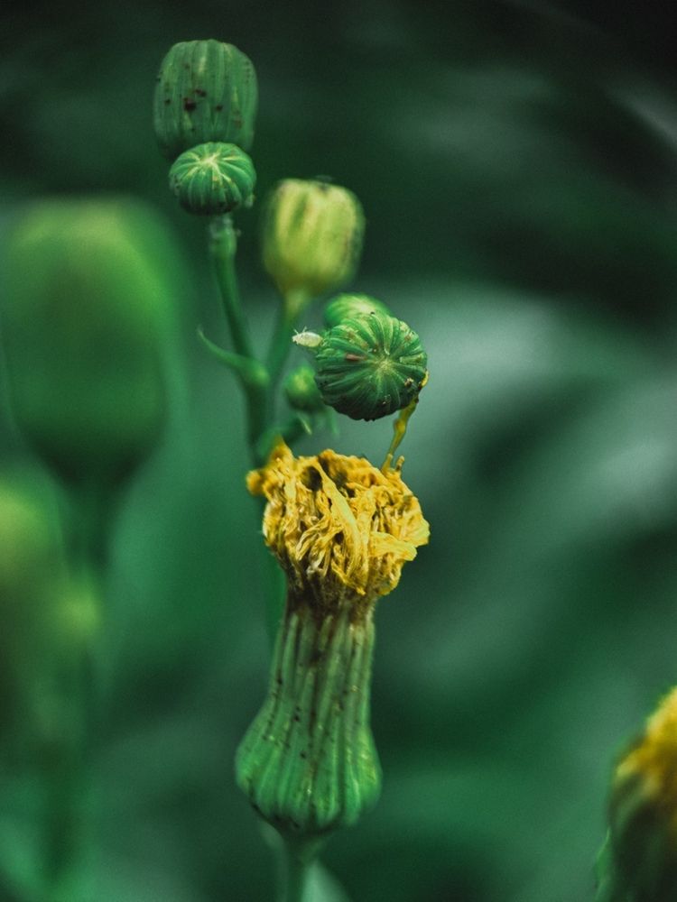 Фотография автора Мария