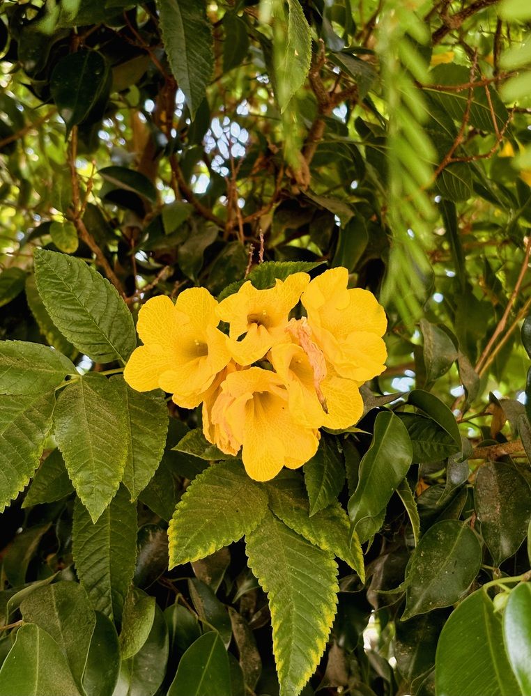 Photograph by Moamen Khaled