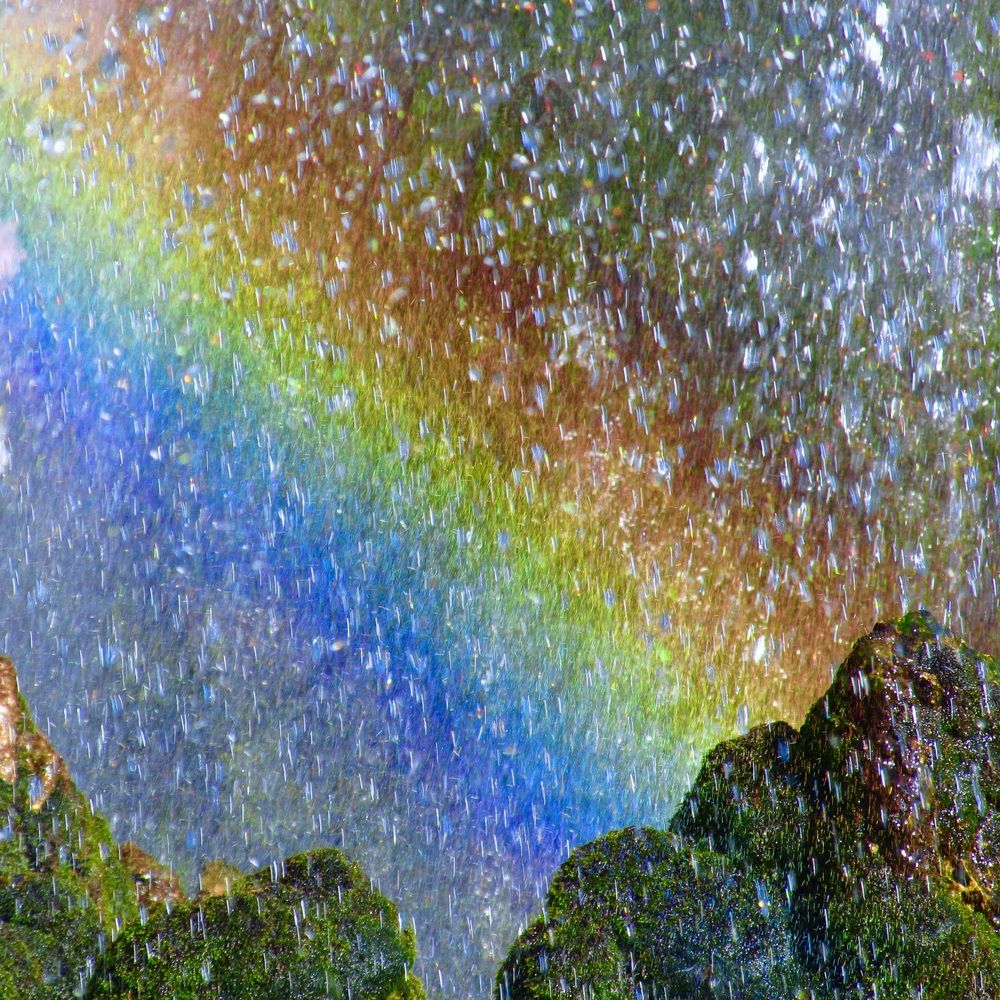 Photograph by Dario Meroni