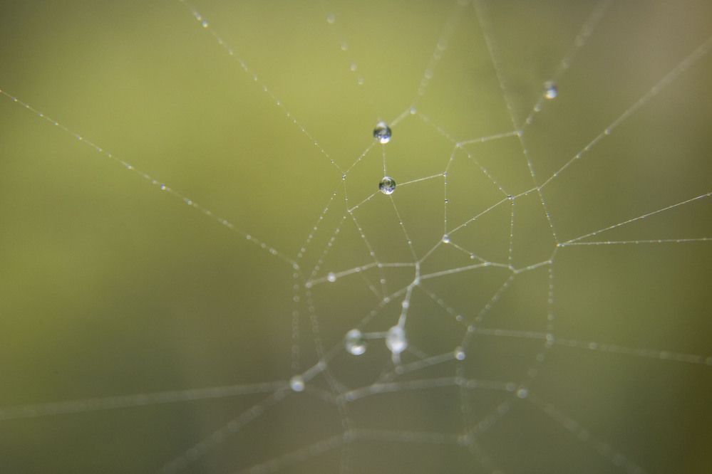 Photograph by Елена Перминова