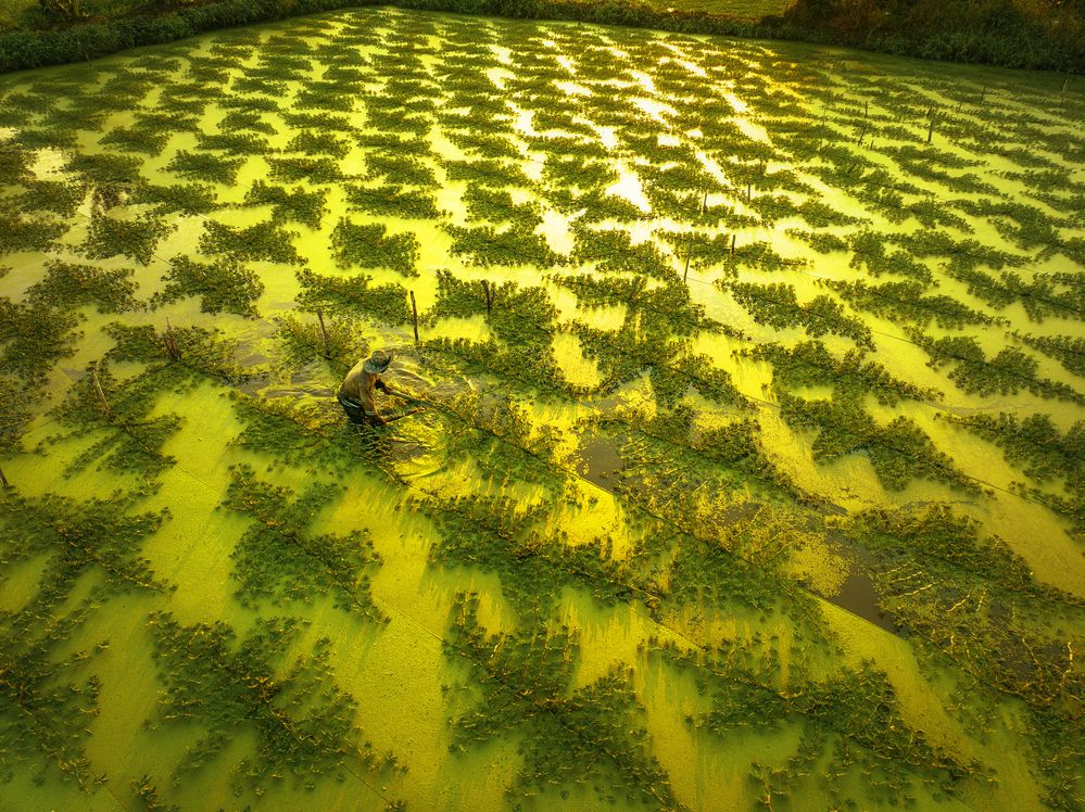 Photograph by Tran Phuong