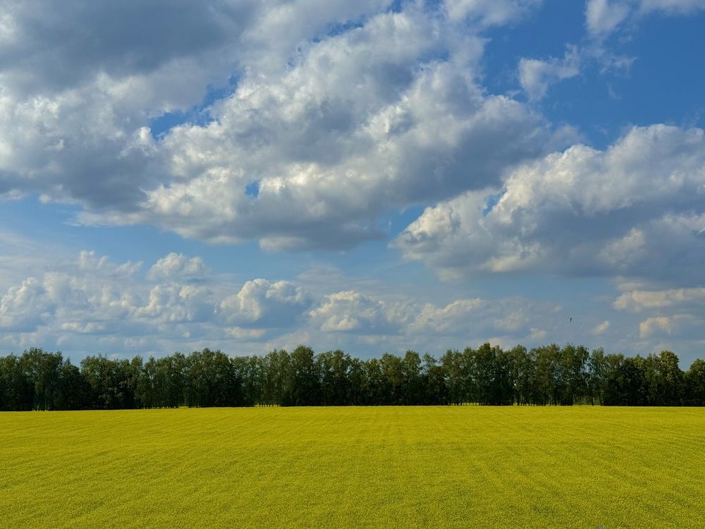 Photograph by Марина Сальникова