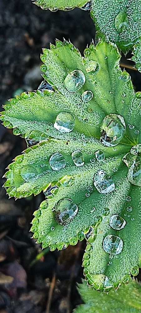 Photograph by Олена Бокова