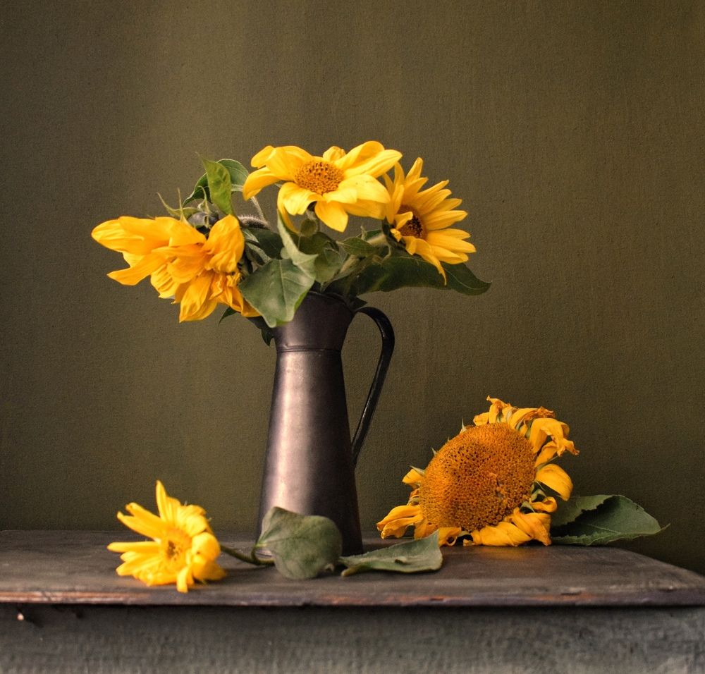 Photograph by Антонина Шабышева