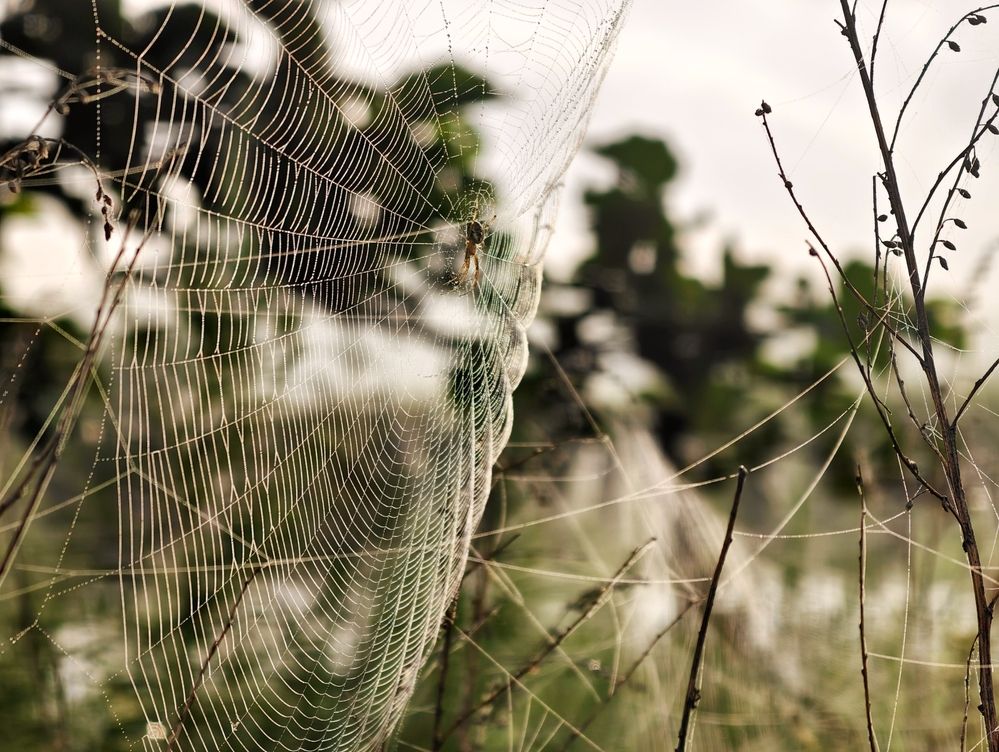 Photograph by Галина