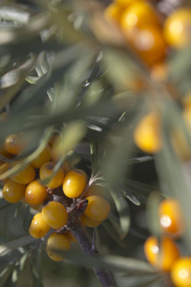 Photograph by Мария Бобылева