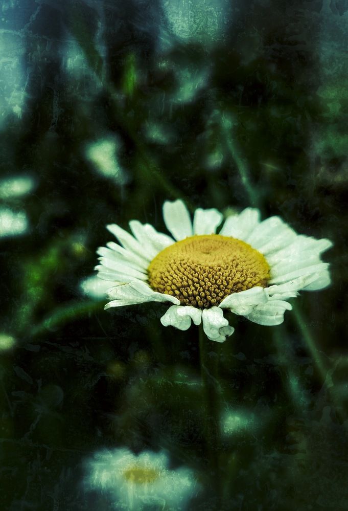 Photograph by Олеся Хижко