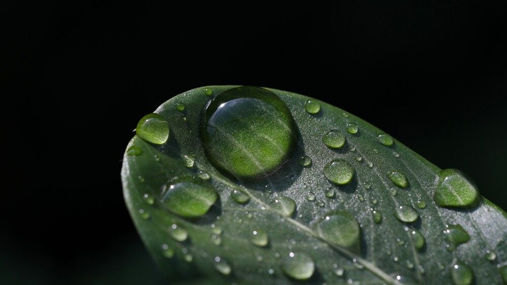 Photograph by VIVEK JOSHI