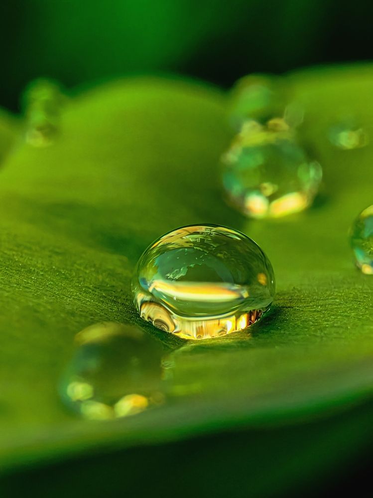 Photograph by Елена Макеева