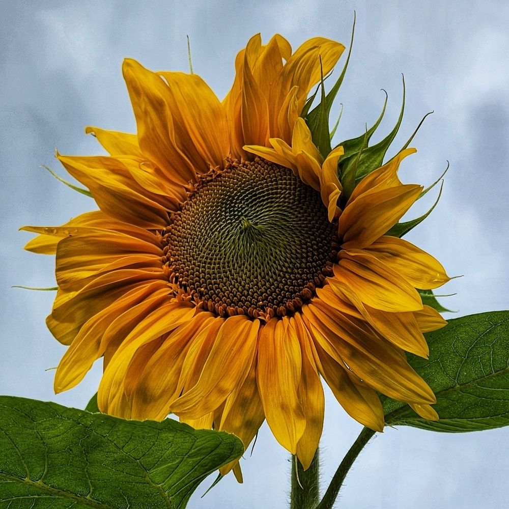 Фотография автора Татьяна Сякина