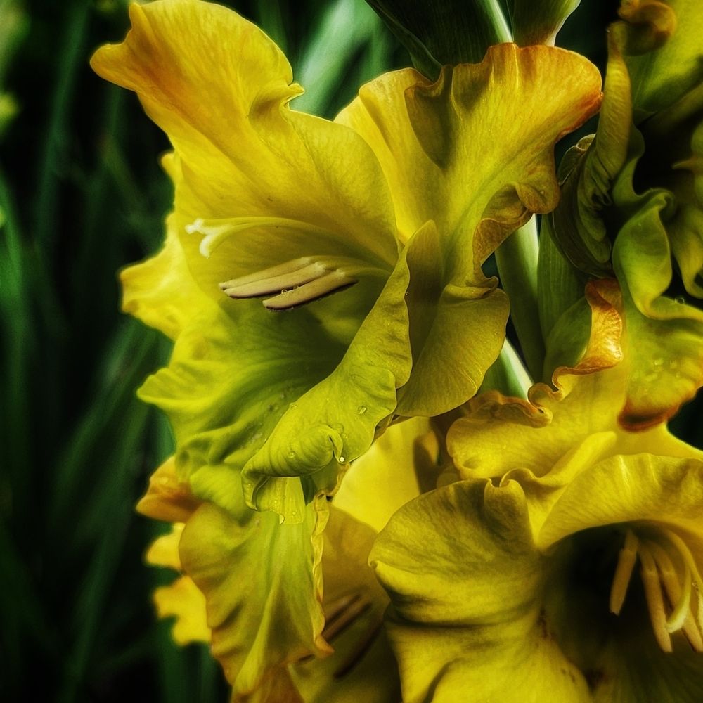 Фотография автора Татьяна Сякина