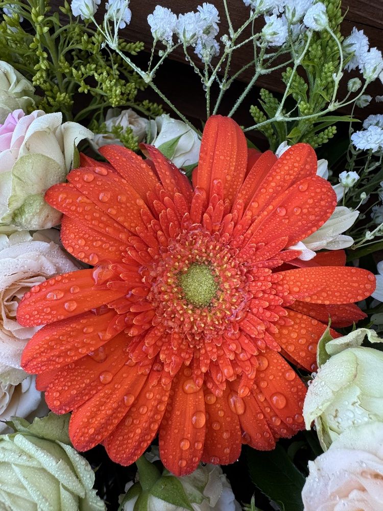 Photograph by Бойкова Наталия