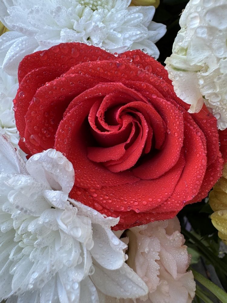 Photograph by Бойкова Наталия