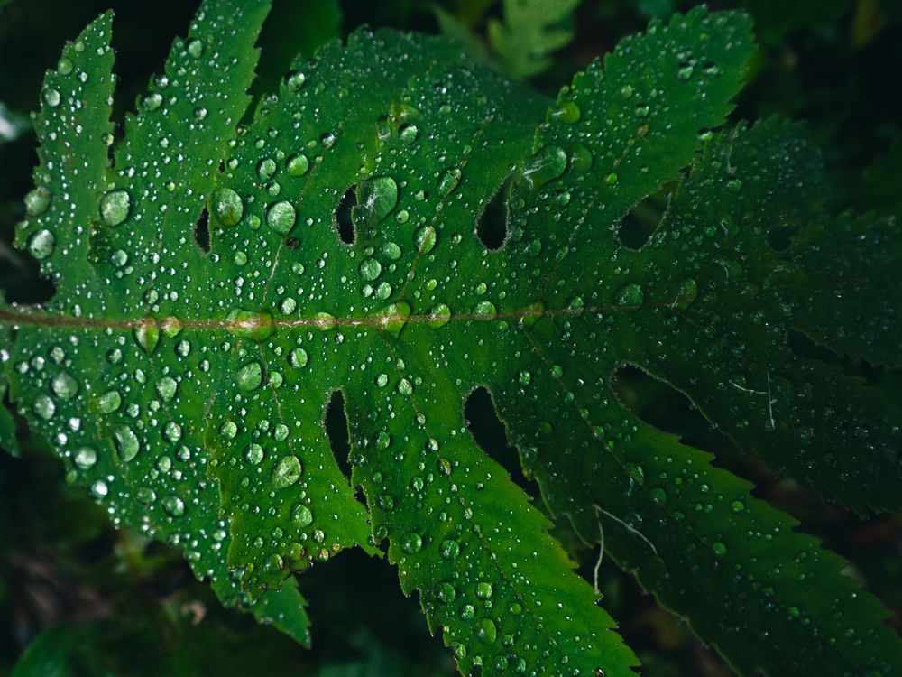 Фотография автора Camilo Rojas