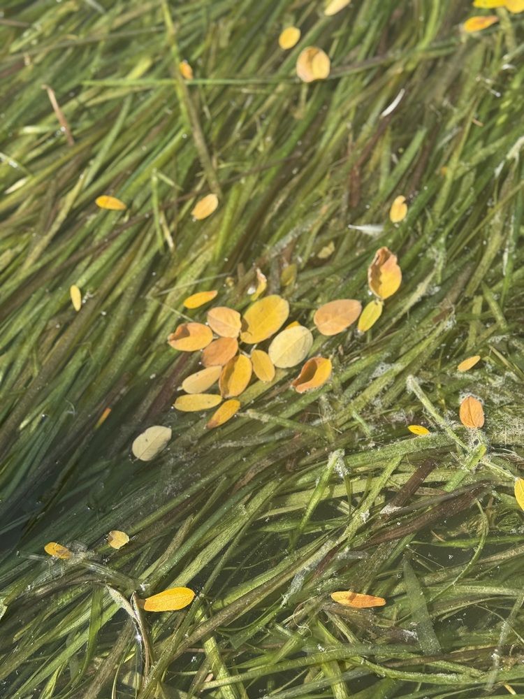 Photograph by Бойкова Наталия