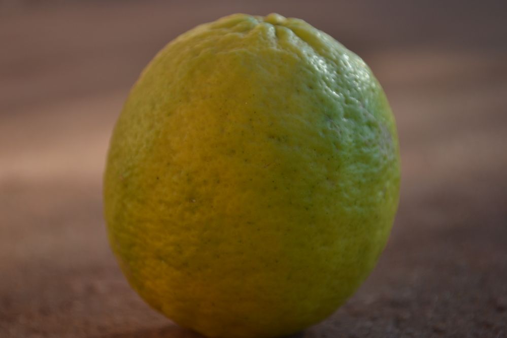 Photograph by Gildo de Campos Correa