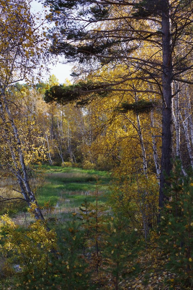 Photograph by Андрей Корытов