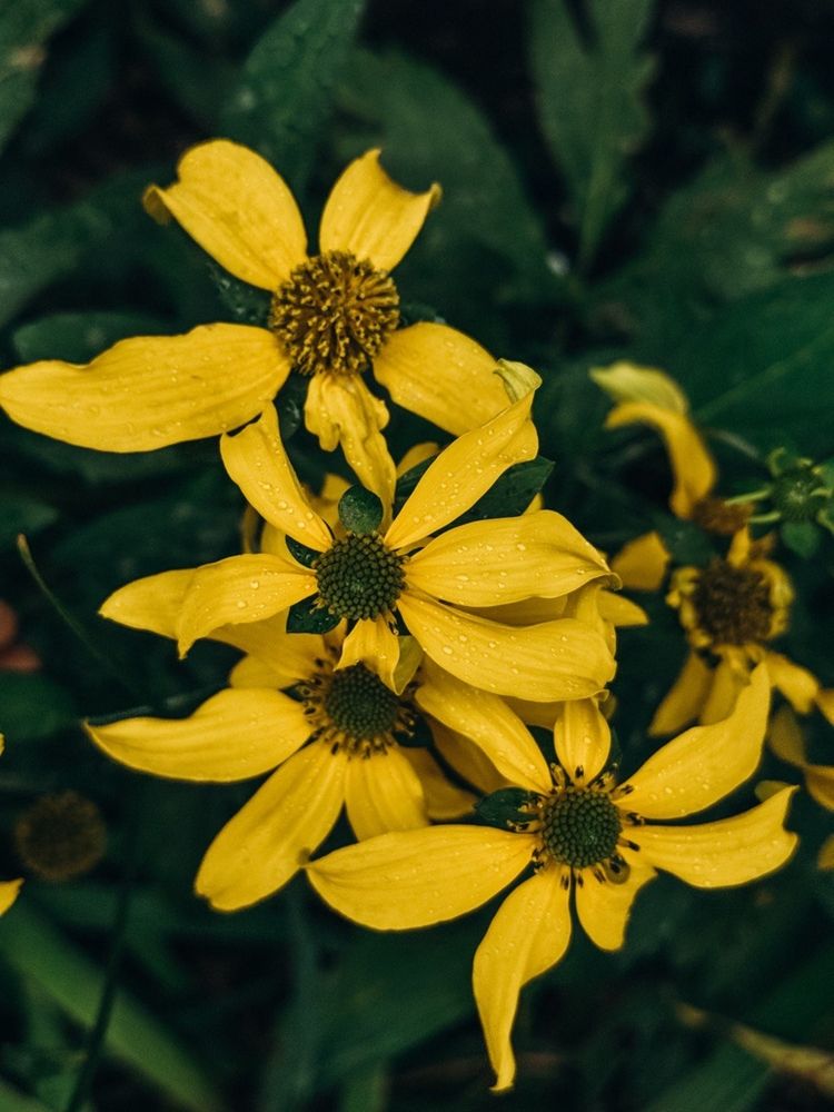 Фотография автора Мария