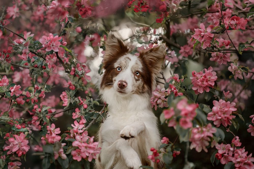 Photograph by Weks Atury