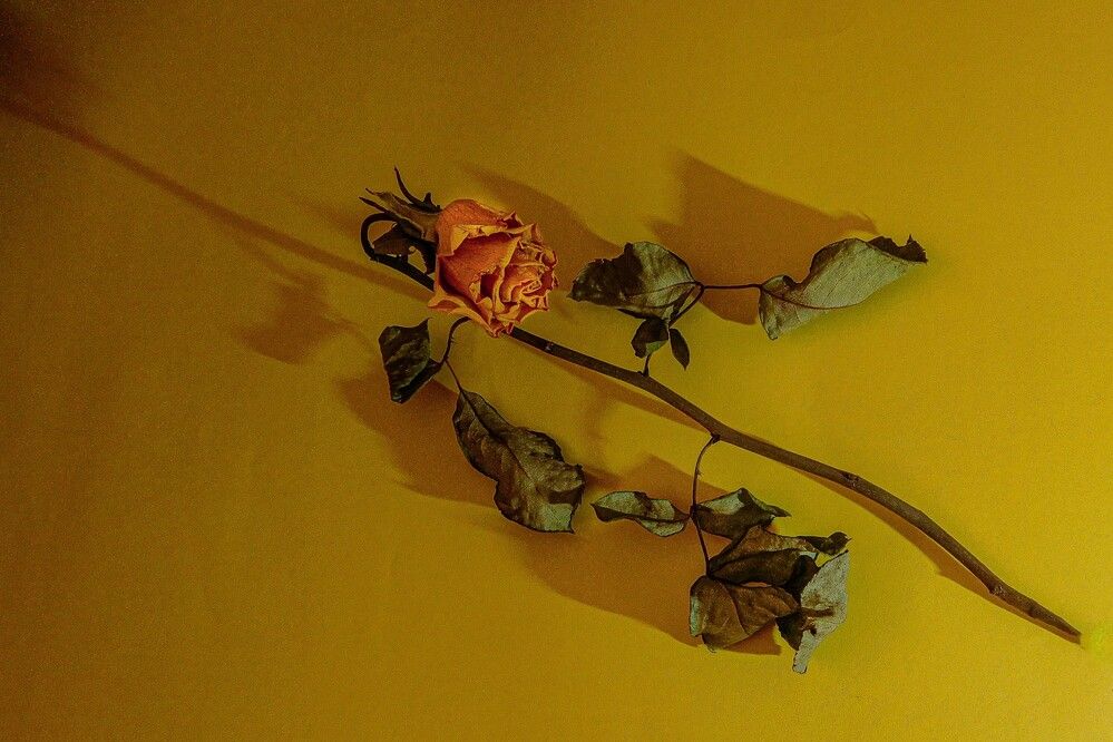 Photograph by HECTOR ANTONIO RAUCHS