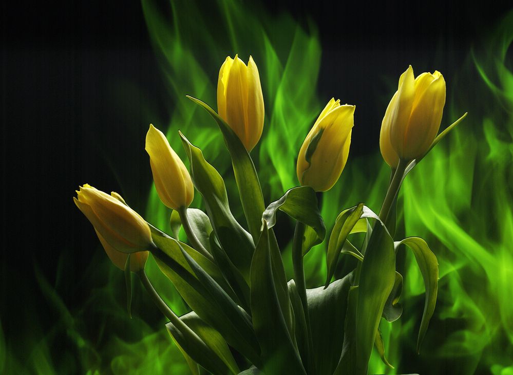 Photograph by Игорь Сахаров