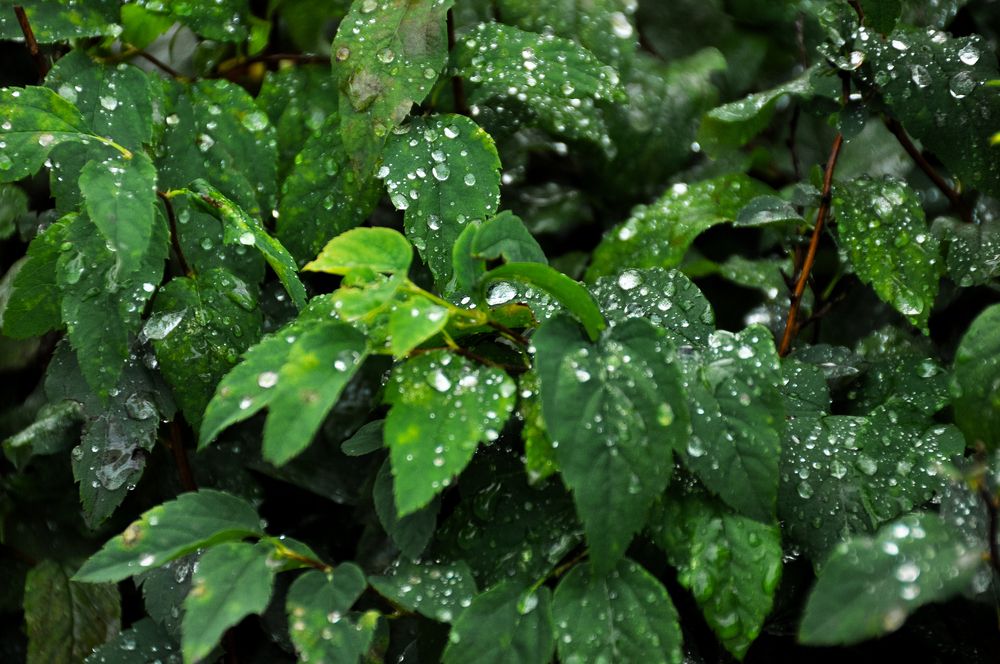 Фотография автора Елизавета Синицына