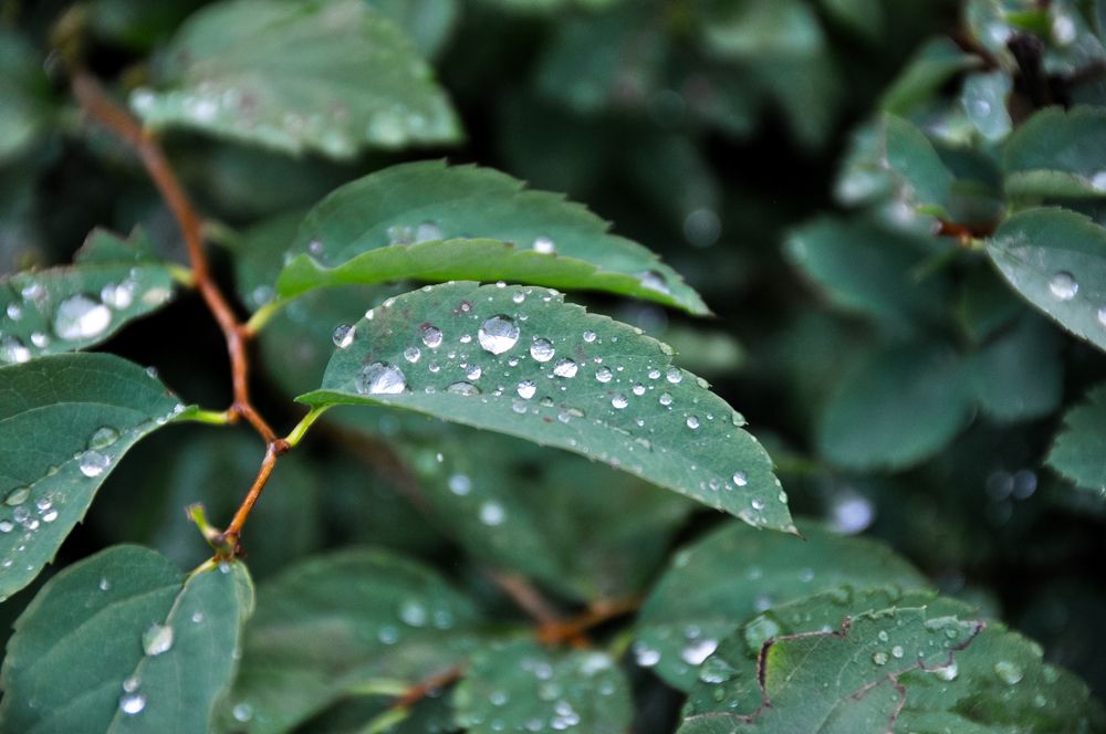 Фотография автора Елизавета Синицына
