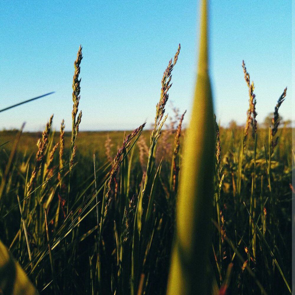 Photograph by Ангелина Бартанова
