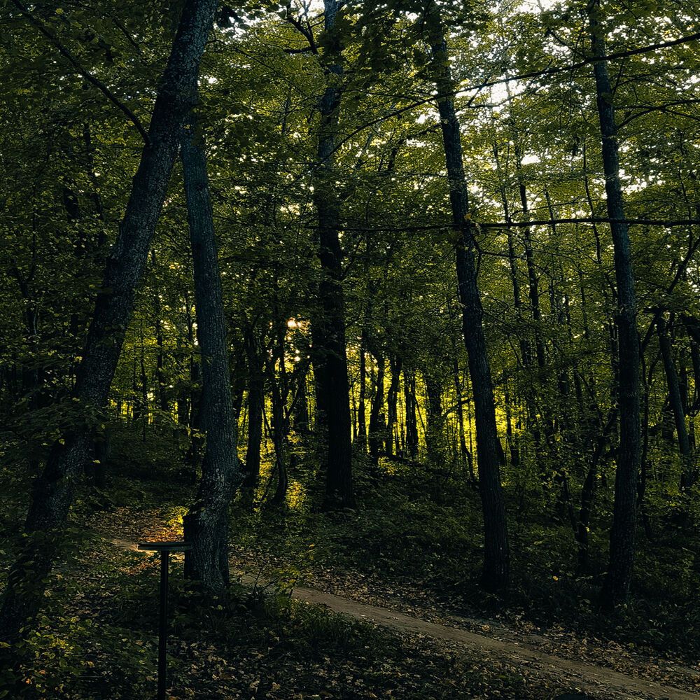 Photograph by Ангелина Бартанова