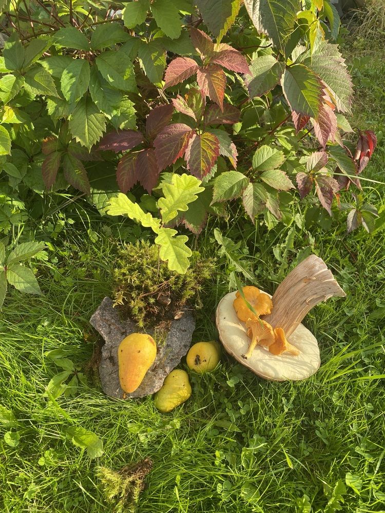 Photograph by Елена