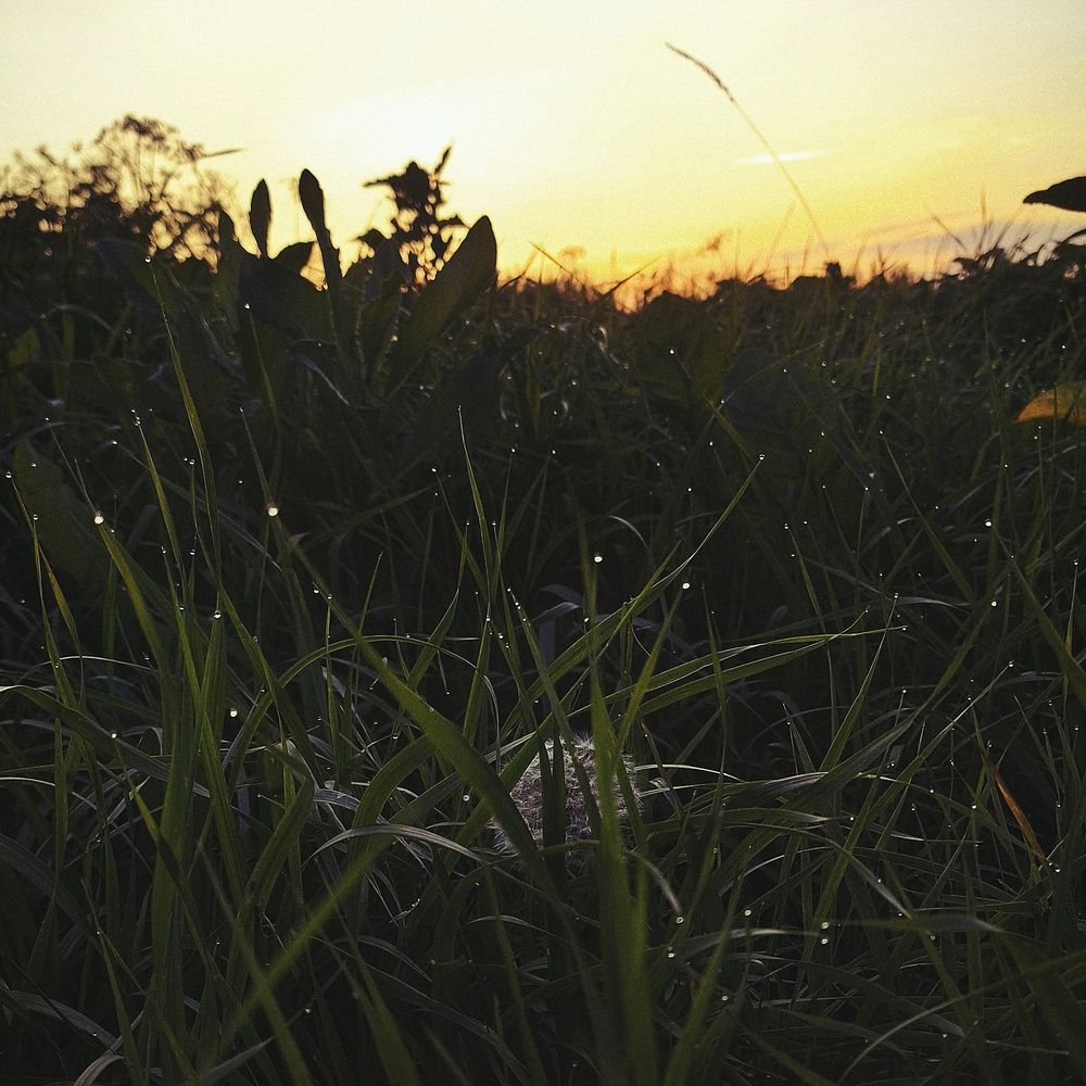 Photograph by Юлия Гусева