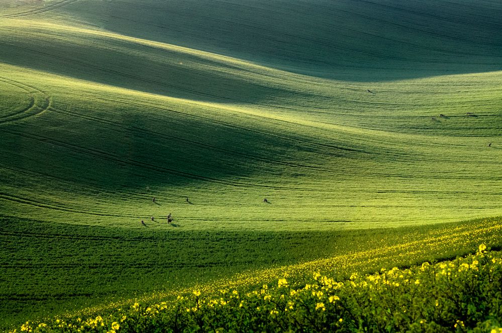 Photograph by ПАВЕЛ