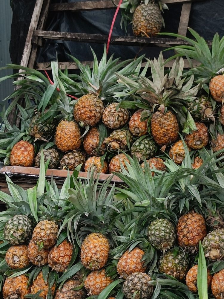 Pineapple Market