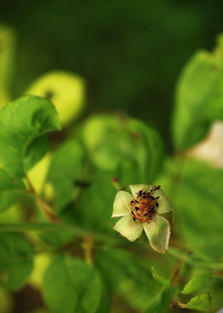 Photograph by G GOVIL