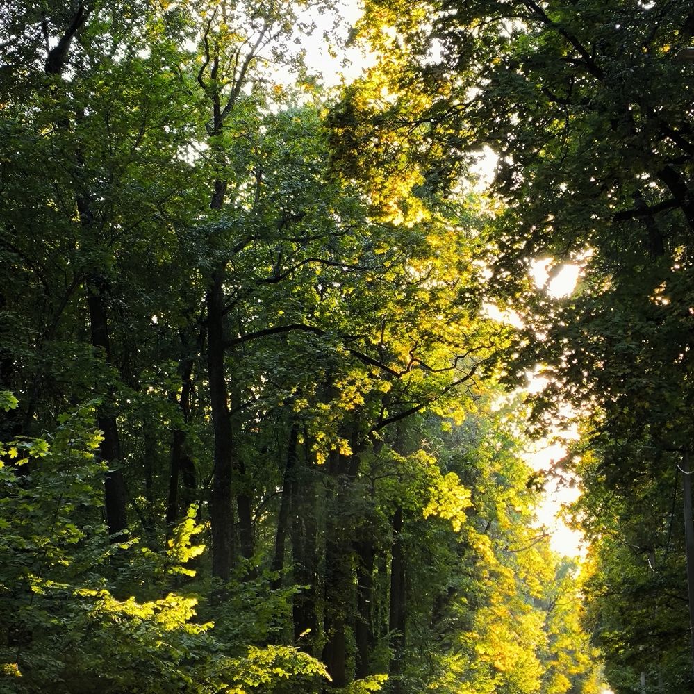 Photograph by Юлия Гусева