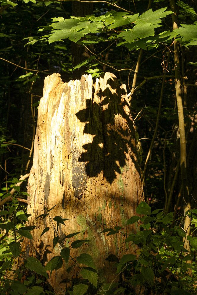 Photograph by Наталия Козлова