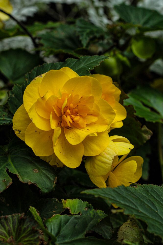 Photograph by Наталия Козлова