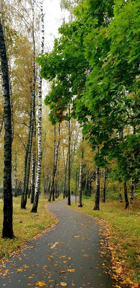 Фотография автора Asya