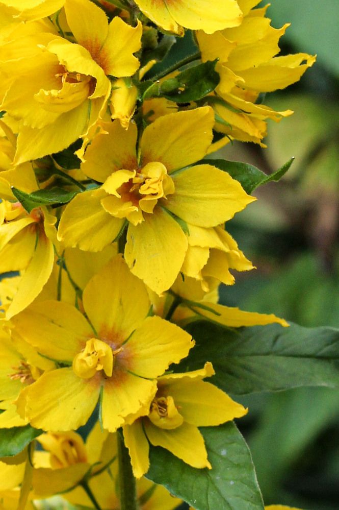 Photograph by Наталия Козлова