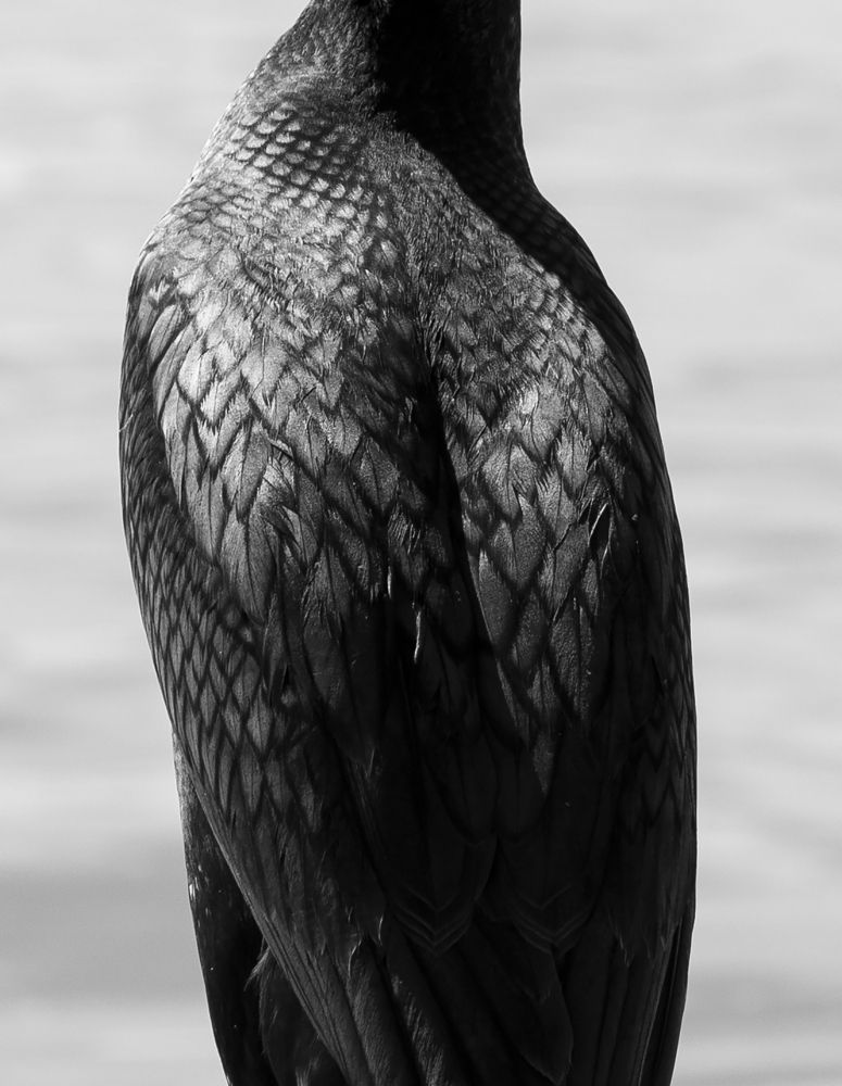 Photograph by Дарья Юсарева