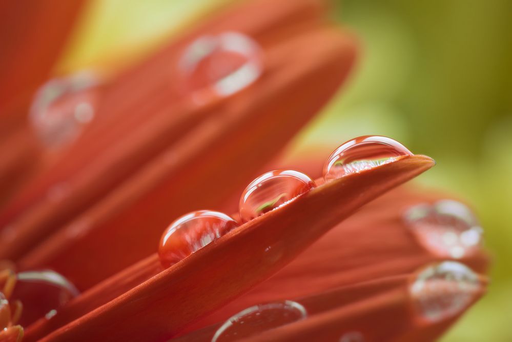 Photograph by Валерий Коновалов