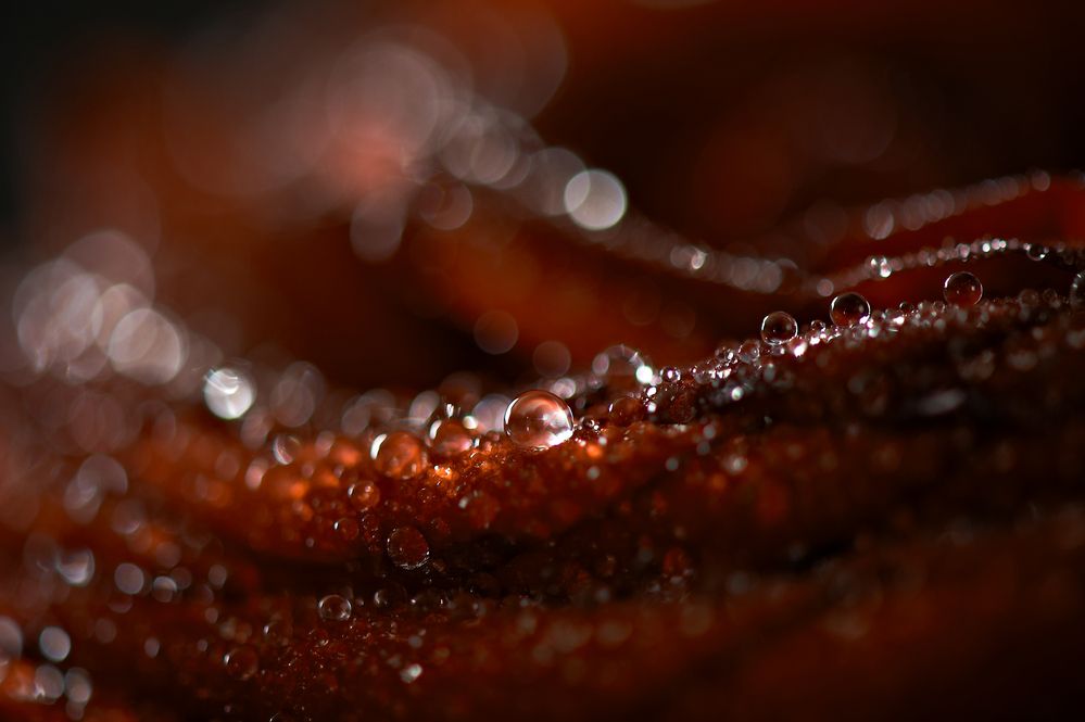 Photograph by Валерий Коновалов