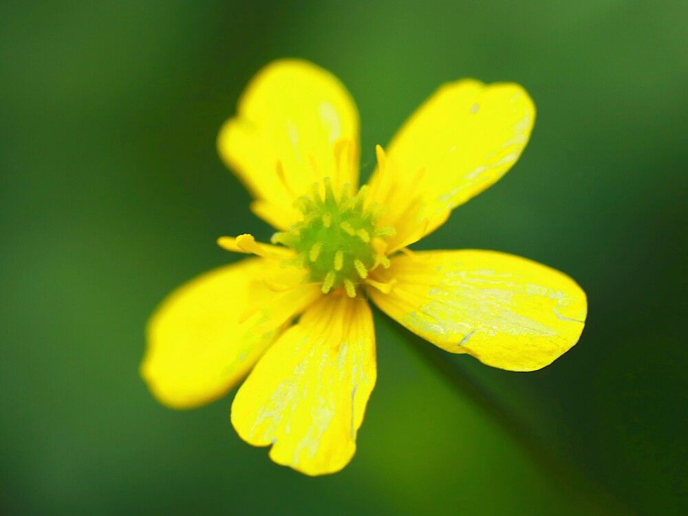 Photograph by Гагик Саркисян