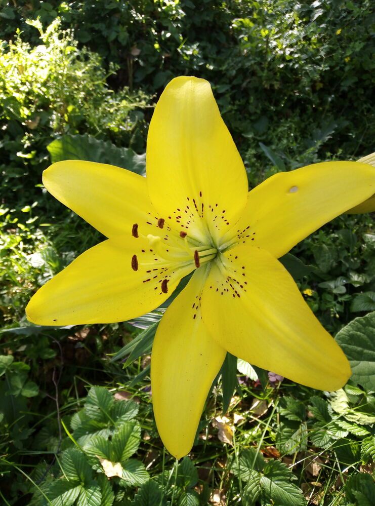 Photograph by Наталья Волобуева