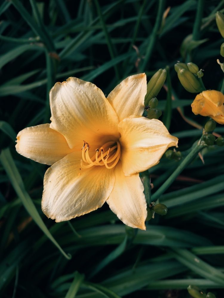 Photograph by Дарина Ворошилова