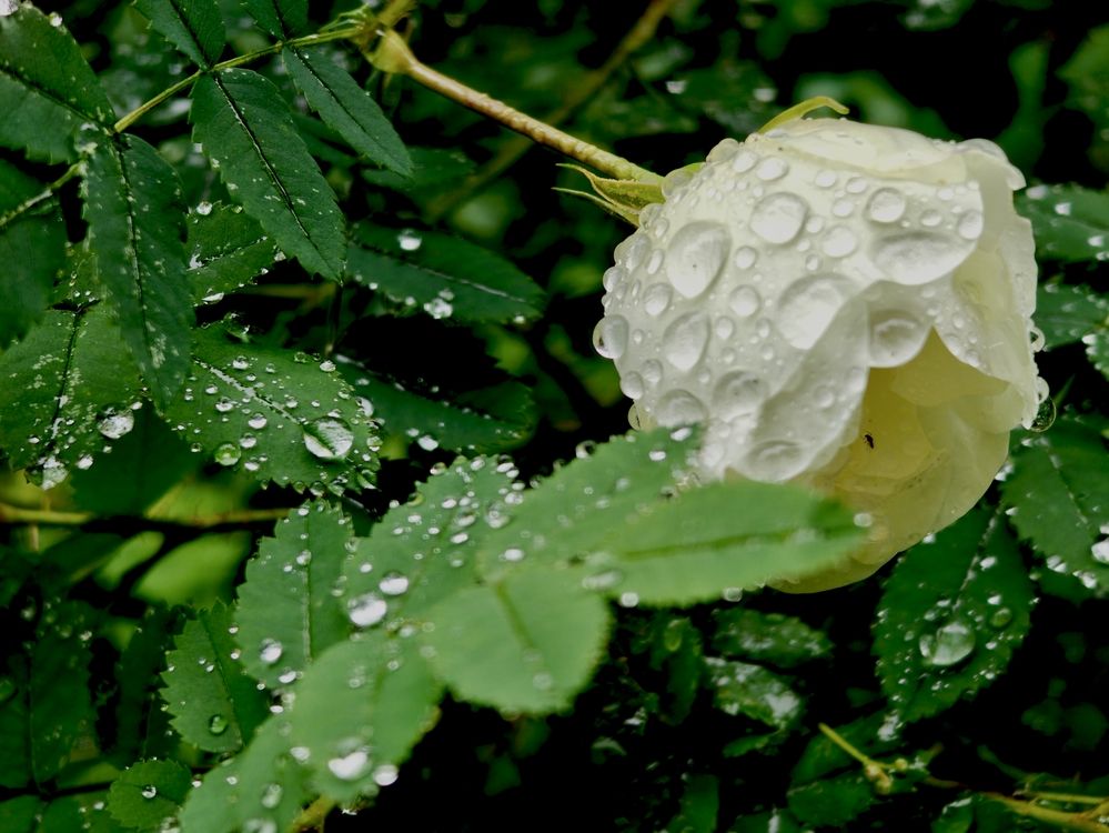 Photograph by Дарина Ворошилова