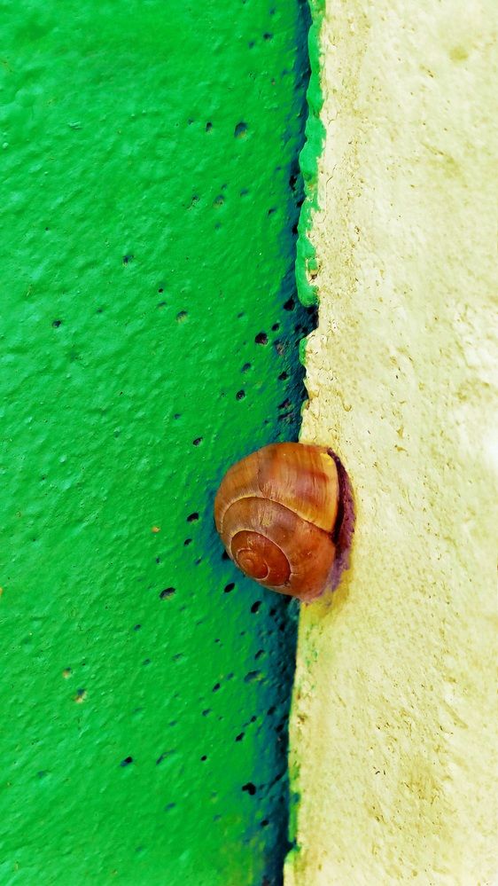 Photograph by Елена Воронова