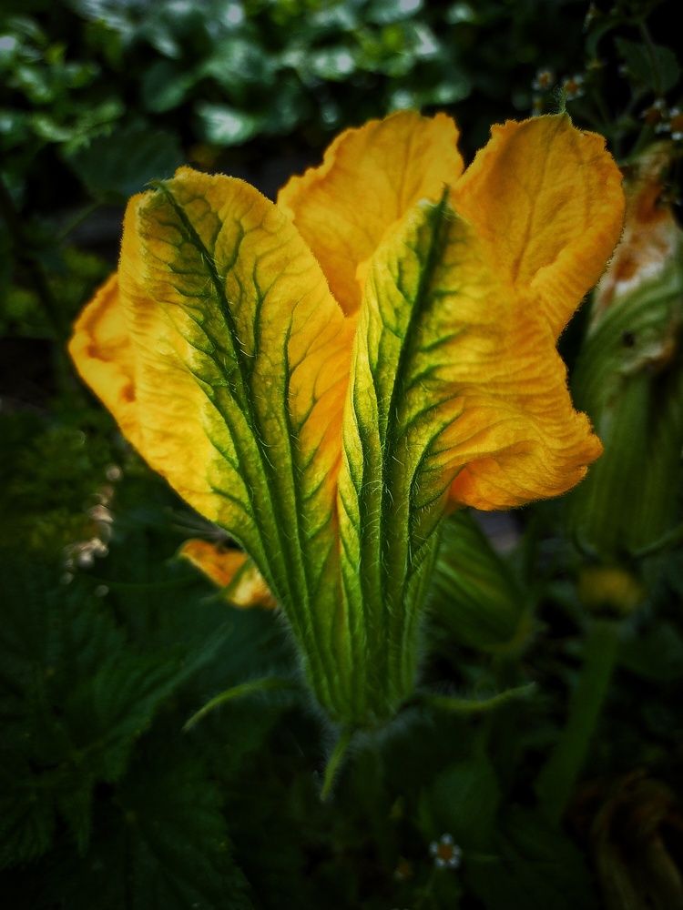 Photograph by Ольга Мартьянова