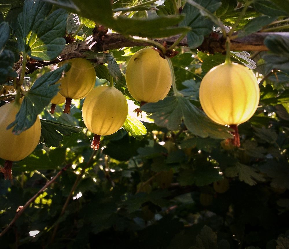 Photograph by Ольга Мартьянова